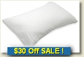 Sarah Peyton Memory Foam Pillow